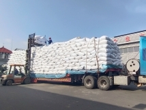 把握機(jī)遇、鉚足干勁、承勢而上