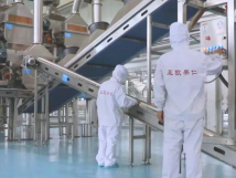 2025年的第一個月，承德亞歐果仁有限公司在山杏產(chǎn)業(yè)的道路上持續(xù)奮進(jìn)，展現(xiàn)出蓬勃的發(fā)展活力。